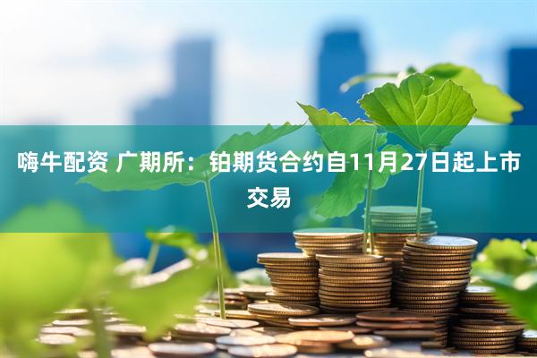 嗨牛配资 广期所：铂期货合约自11月27日起上市交易