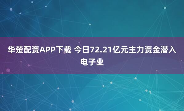 华楚配资APP下载 今日72.21亿元主力资金潜入电子业