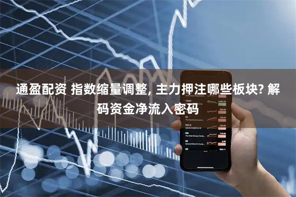 通盈配资 指数缩量调整, 主力押注哪些板块? 解码资金净流入密码