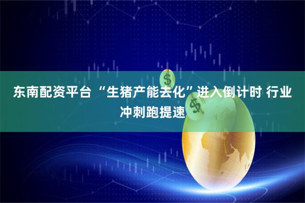 东南配资平台 “生猪产能去化”进入倒计时 行业冲刺跑提速